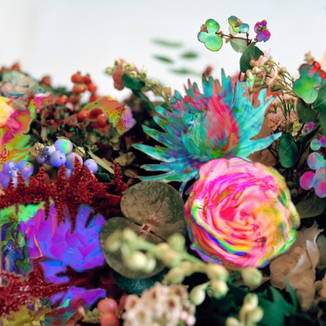 Darkstar-News-From-Nowhere