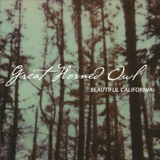 GreatHornedOwl_BeautifulCalifornia