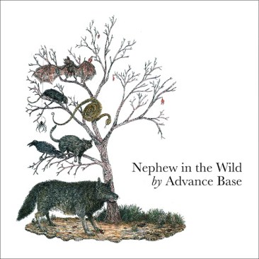 AdvanceBase_NephewInTheWild