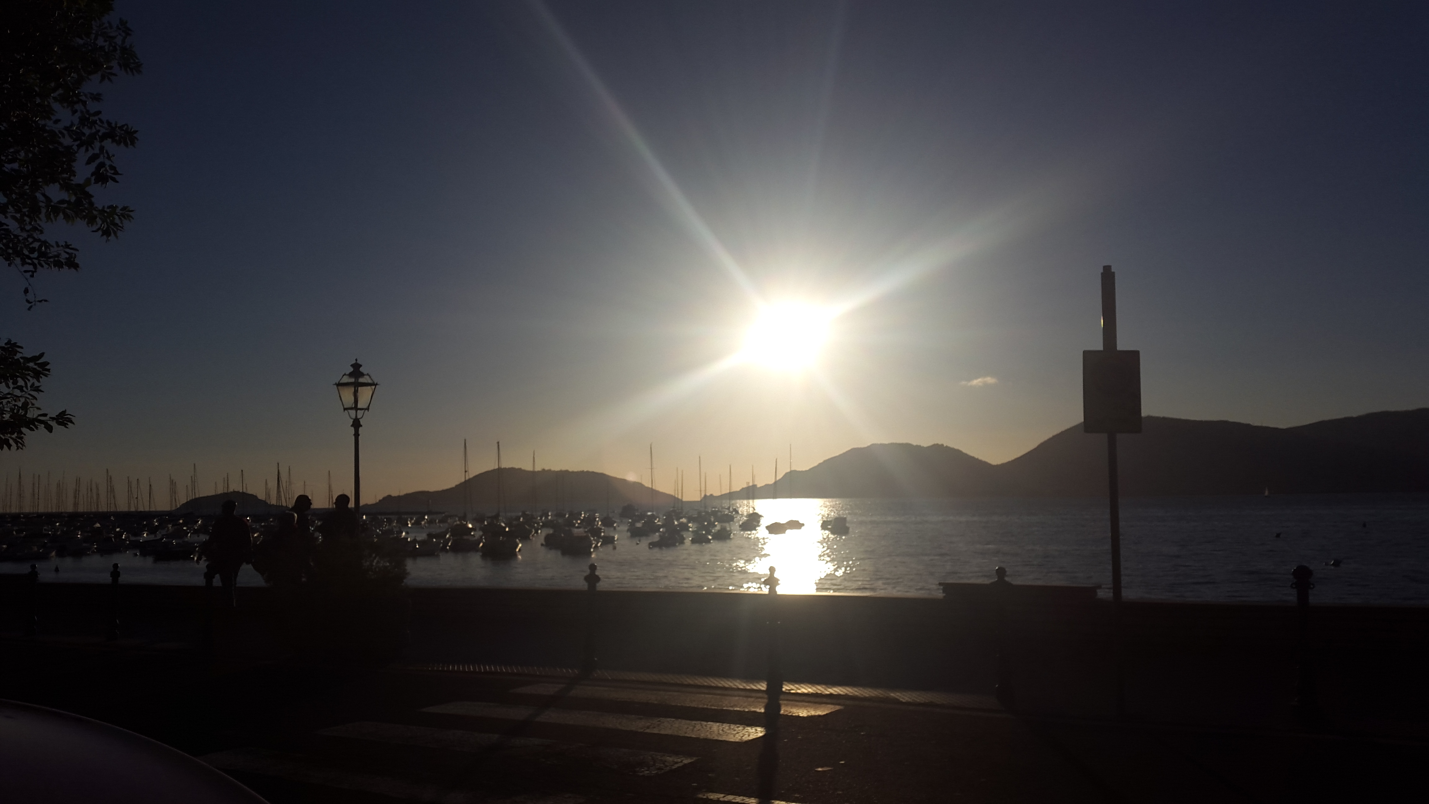 top102016_tristeroma