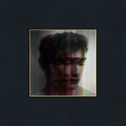 funeralforbird_therain