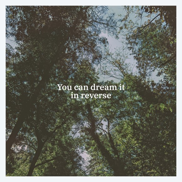 [2020] Black Tail - You Can Dream It In Reverse (hi-res)